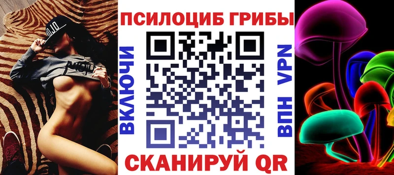 купить   kraken онион  Галлюциногенные грибы Cubensis  Ковылкино 